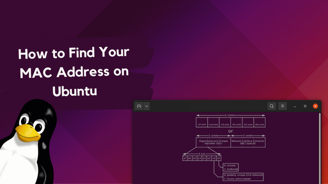 How to Find Your MAC Address on Ubuntu