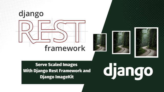 Serve Scaled Images With Django Rest Framework and Django ImageKit