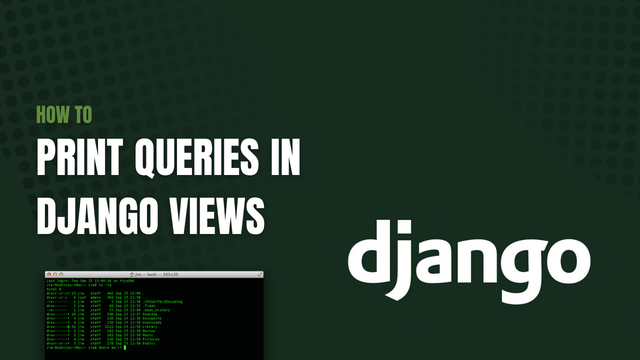 How to Print Queries in Django Views